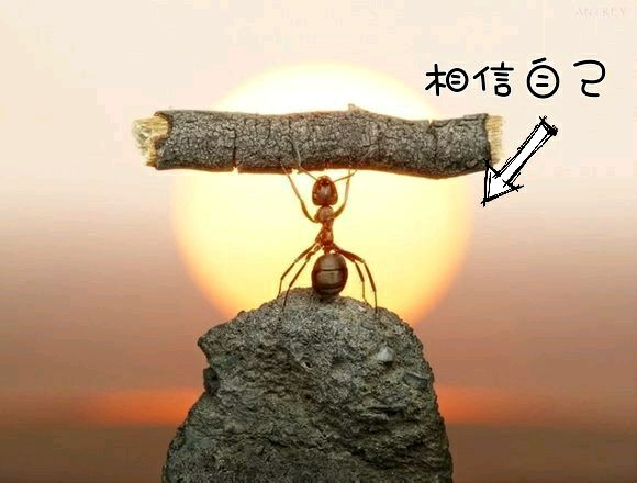 2016红牛能量FC球迷联赛